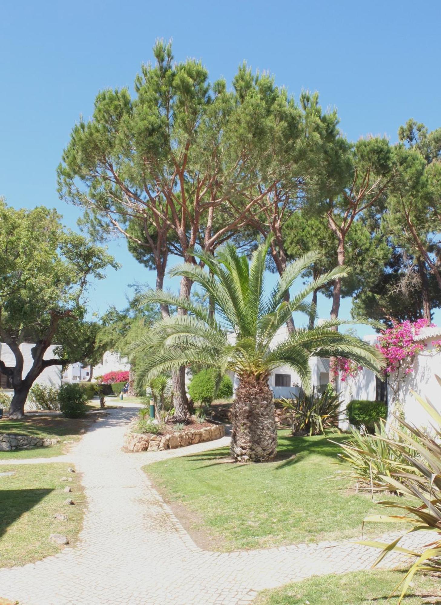 אלבופיירה Balaia Golf Village מראה חיצוני תמונה
